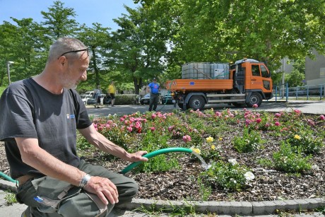 Saját kútból, folyamatosan öntözi a Városgondnokság a közterületi növényeket